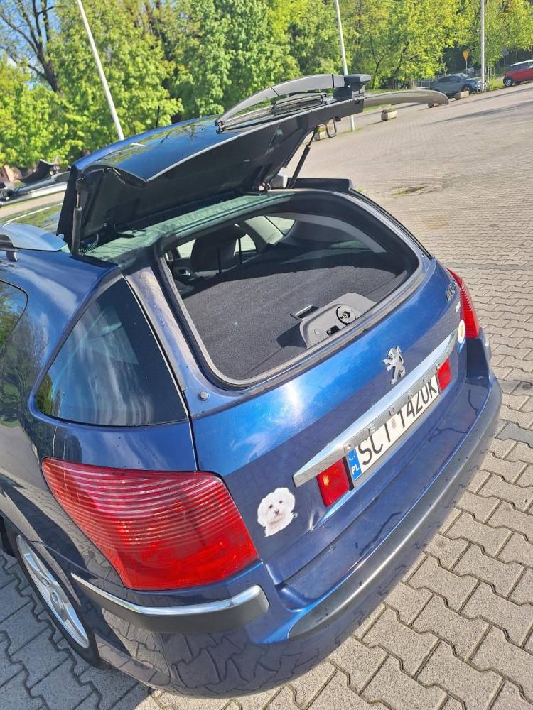 ox_peugeot-407-benzyna
