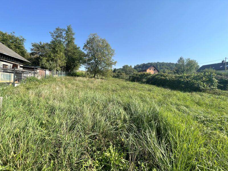 ox_goleszow-ul-zniwna-2-domy-dzialka-265-ar