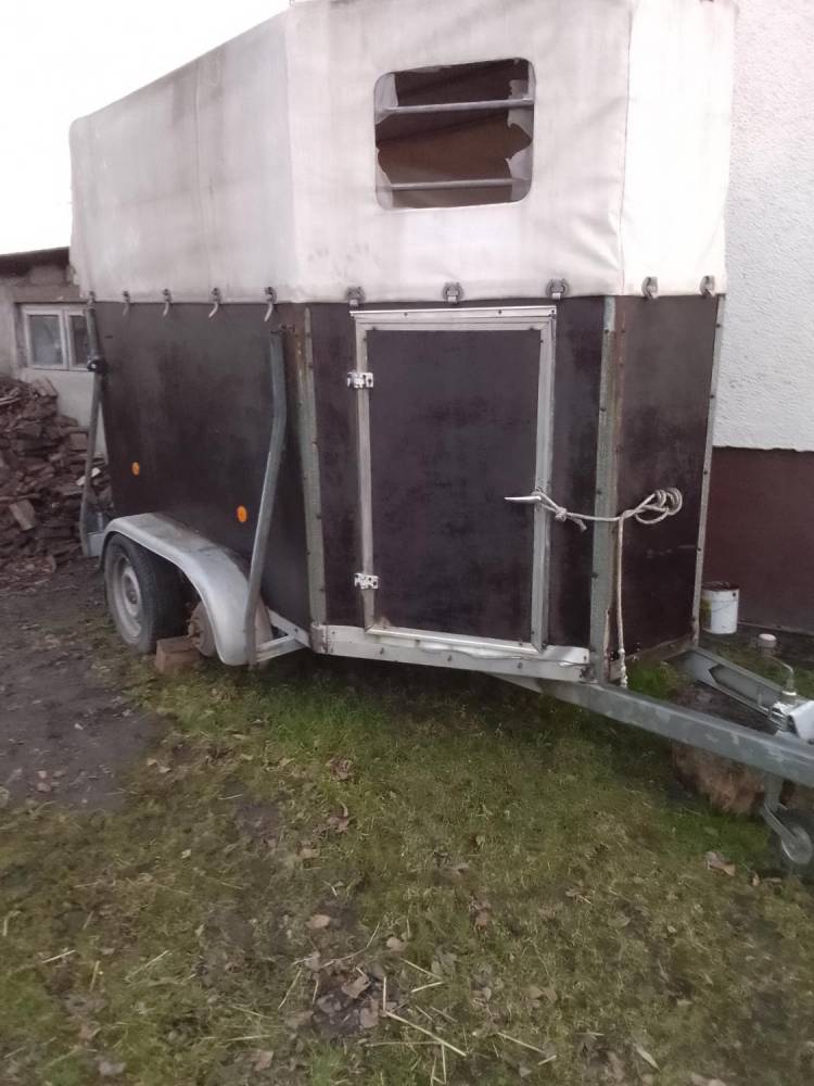 ox_przyczepa-do-przewozu-koni