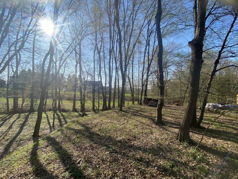 ox_ustron-lipowiec-dzialka-bud-20ar-z-lasem-przy-potoczku