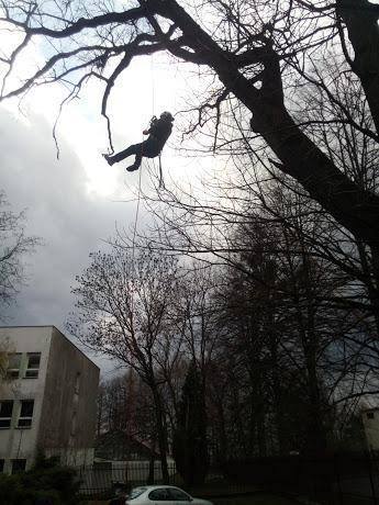 ox_uslugi-ogrodnicze-zakladanie-trawnikow