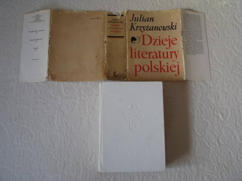 ox_dzieje-literatury-polskiej-julian-krzyzanowski-pwn