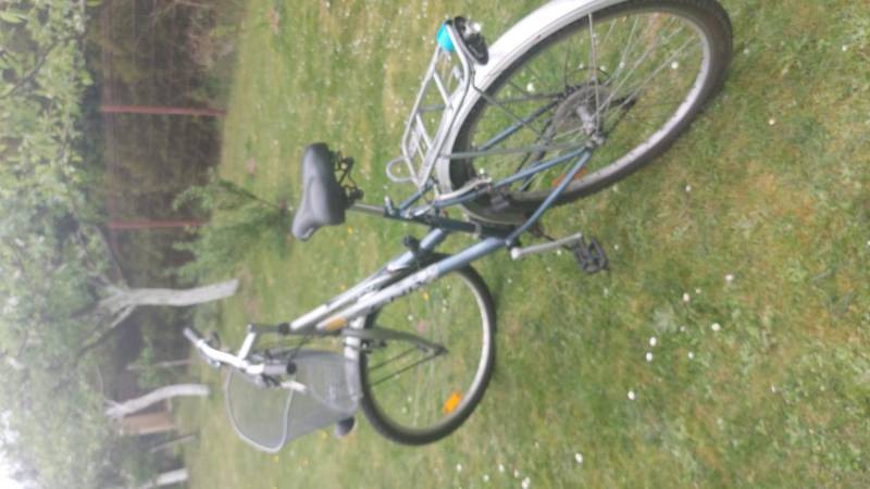 ox_rower-feniks-fx-city-damski
