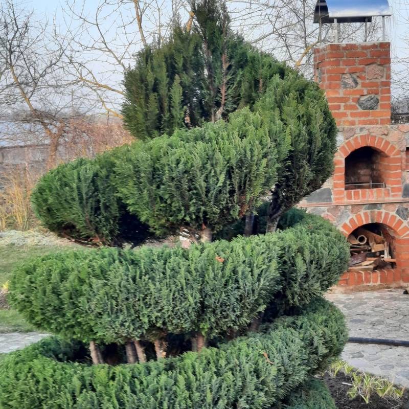 ox_uslugi-ogrodnicze-pielegnacja-ogrodow