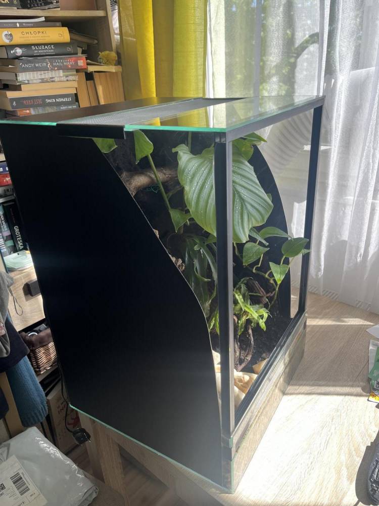 ox_duze-terrarium-dla-gekona-orzesionego