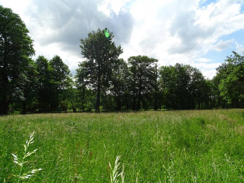 ox_urocza-dzialka-w-cisownicy-blisko-ustronia