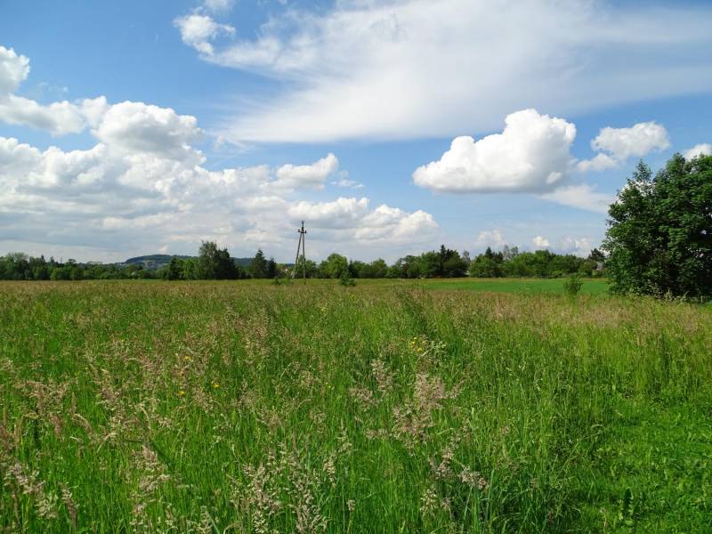 ox_urocza-dzialka-w-cisownicy-blisko-ustronia
