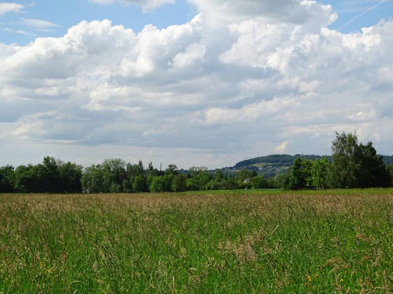 ox_urocza-dzialka-w-cisownicy-blisko-ustronia