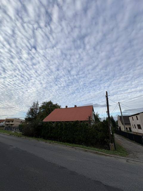 ox_karczowanie-dzialek-usuwanie-tuji-mulczowanie-wycinka-drzew-frezowanie