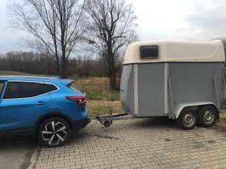 ox_wynajem-przyczepa-konska-bukmana-transport-koni-bydla-bukmanka-kon