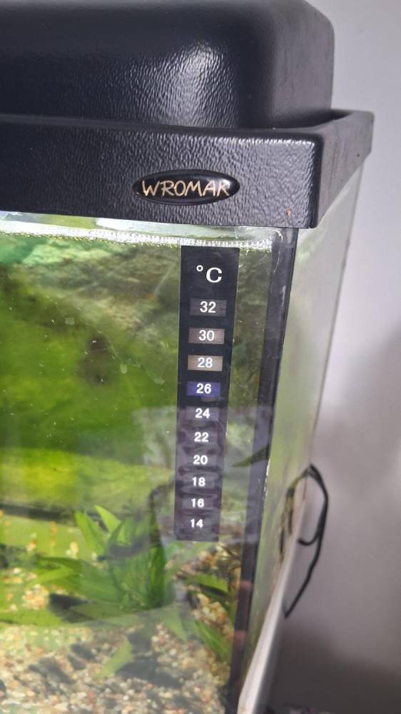 ox_akwarium-60-litrow-kompletne-w-pelni-wyposazone