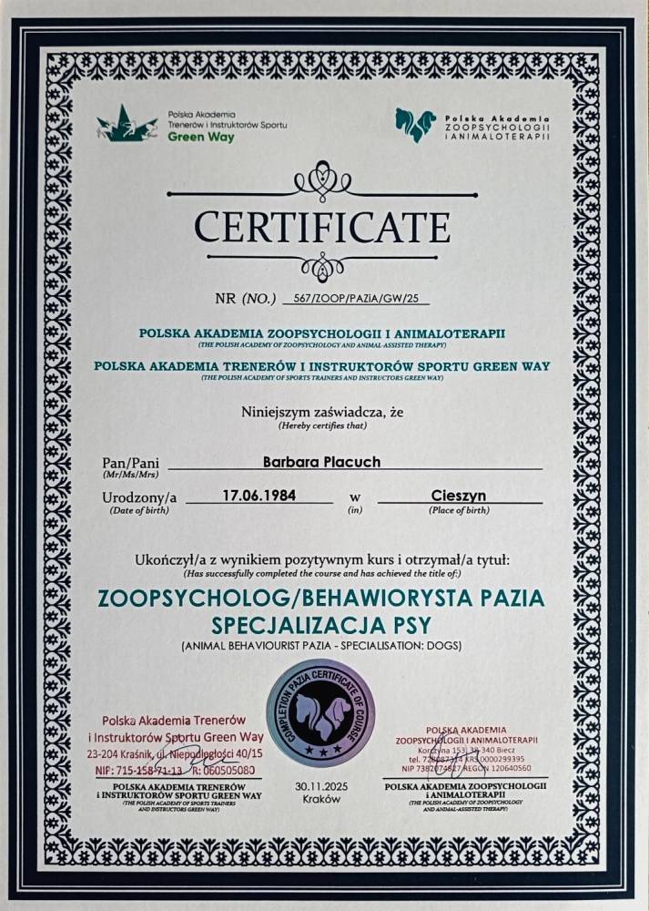 ox_behawiorysta-zoopsycholog-specjalizacja-psy