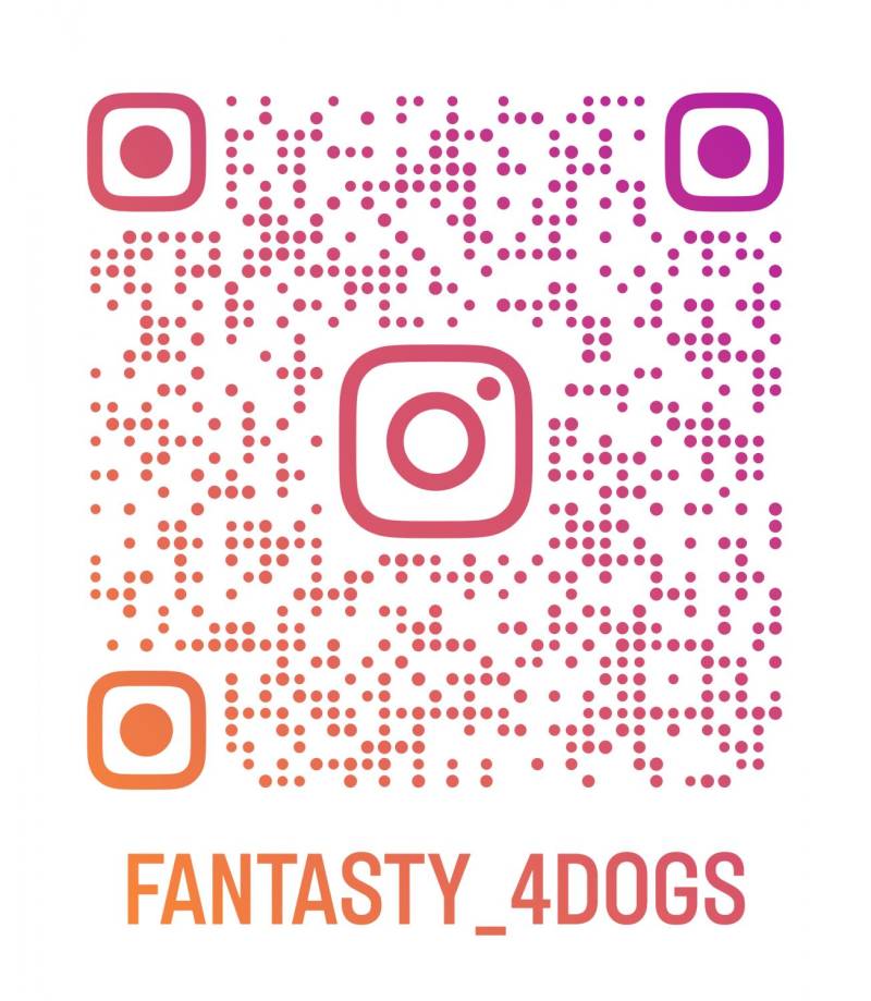 ox_behawiorysta-zoopsycholog-specjalizacja-psy