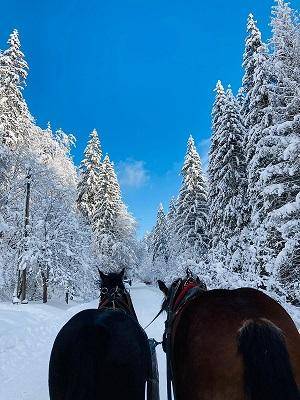 ox_kuligi-zimowe-z-biesiada-w-wisle-ferie