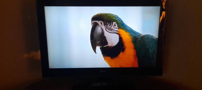 ox_telewizor-philips-32
