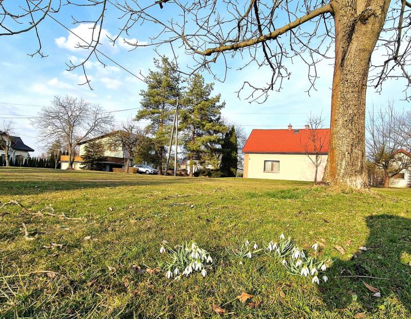 ox_ochaby-wielkie-dom-wolnostojacy-atrakcyjna-okolica