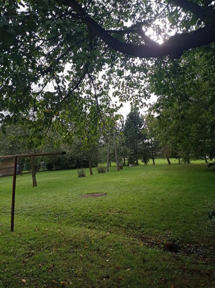 ox_dom-w-konczycach-malych-sprzedam