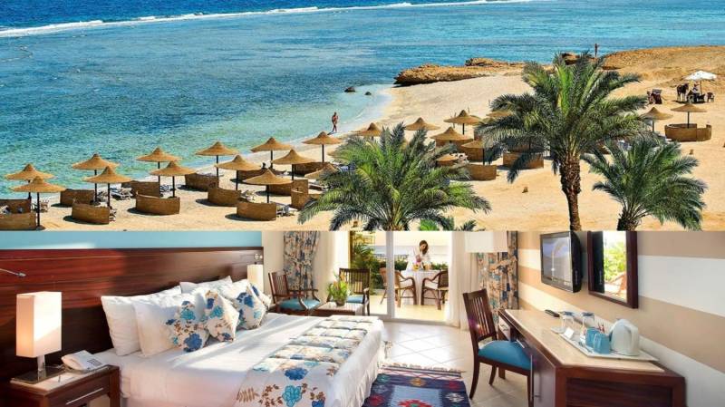 ox_egipt-marsa-alam