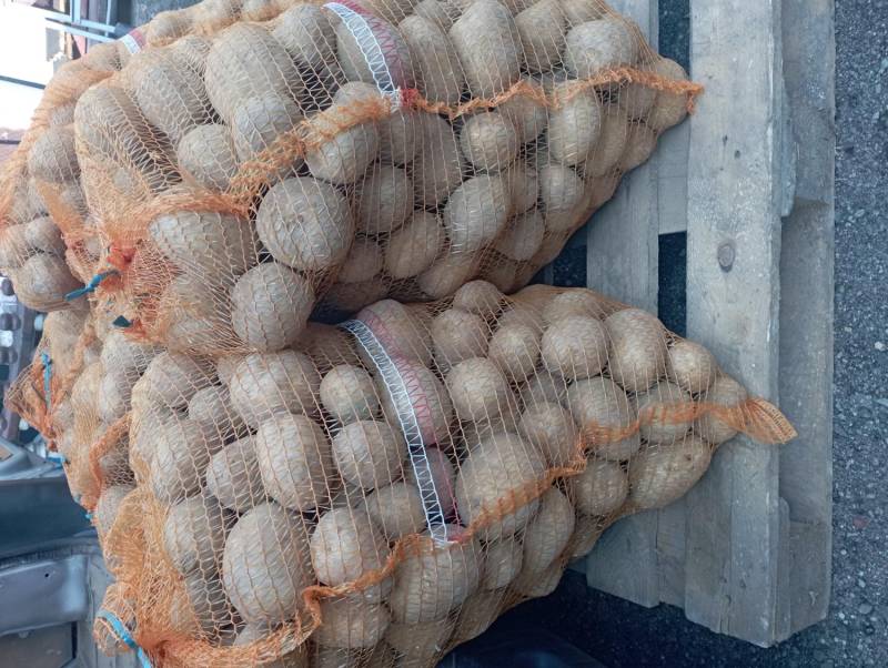 ox_sadzeniaki-gala-i-soraya-od-rolnika-300-kg-jadalne-bardzo-smaczne