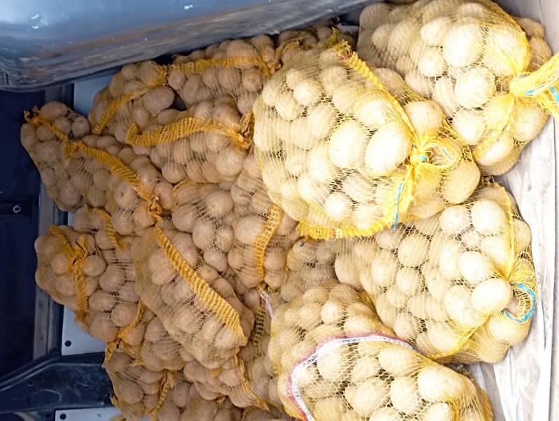 ox_sadzeniaki-gala-i-soraya-od-rolnika-jadalne-bardzo-smaczne-polecam