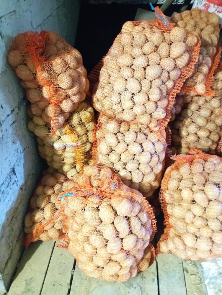 ox_ziemniaki-gala-prosto-od-rolnika-z-dowozem-do-23-km-mam-sadzeniaki