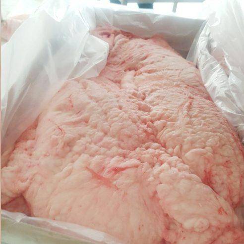 ox_halal-lamb-tail-fat-for-sale