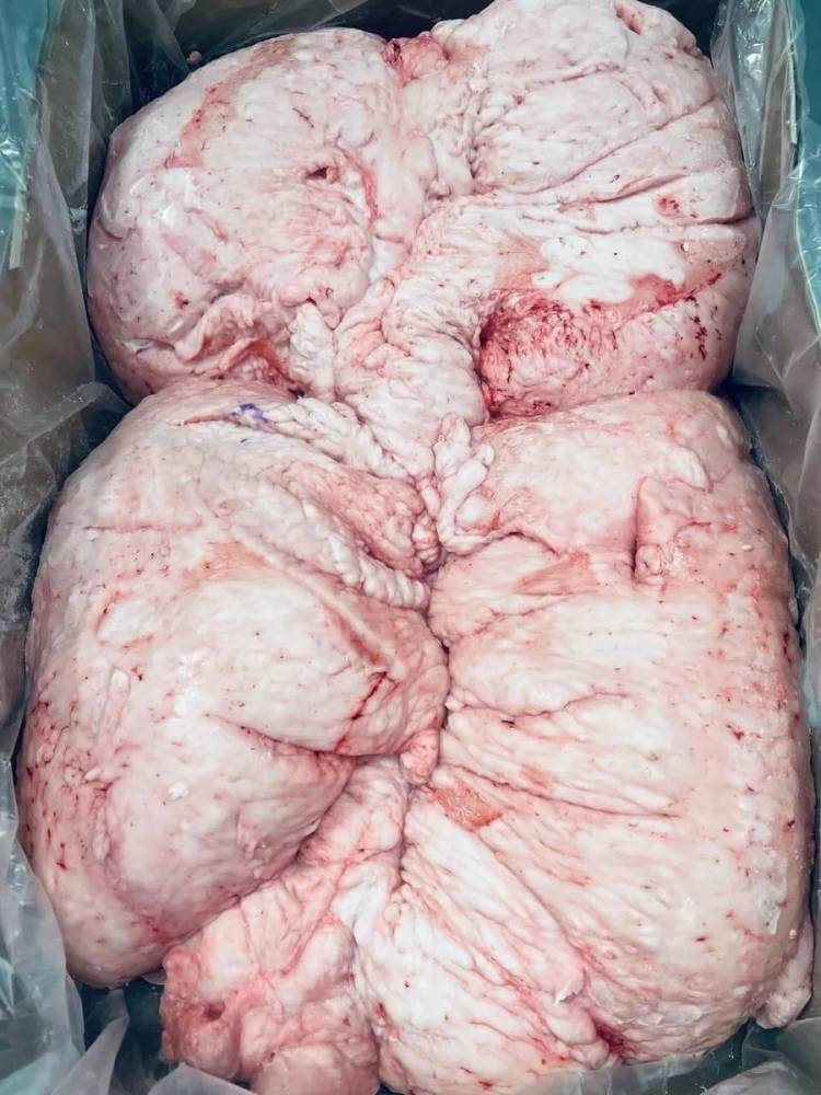 ox_frozen-lamb-tail-fat-wholesale