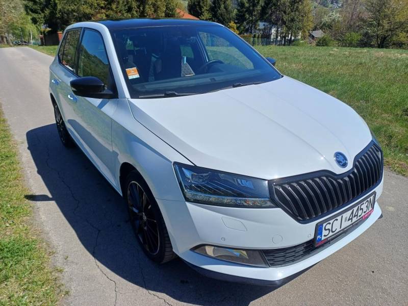 ox_skoda-fabia-monte-carlo