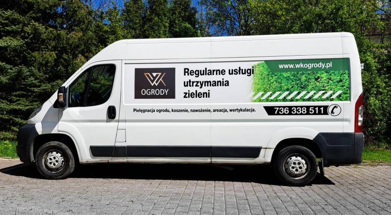 ox_przycinanieredukcja-korony-wysokich-drzew