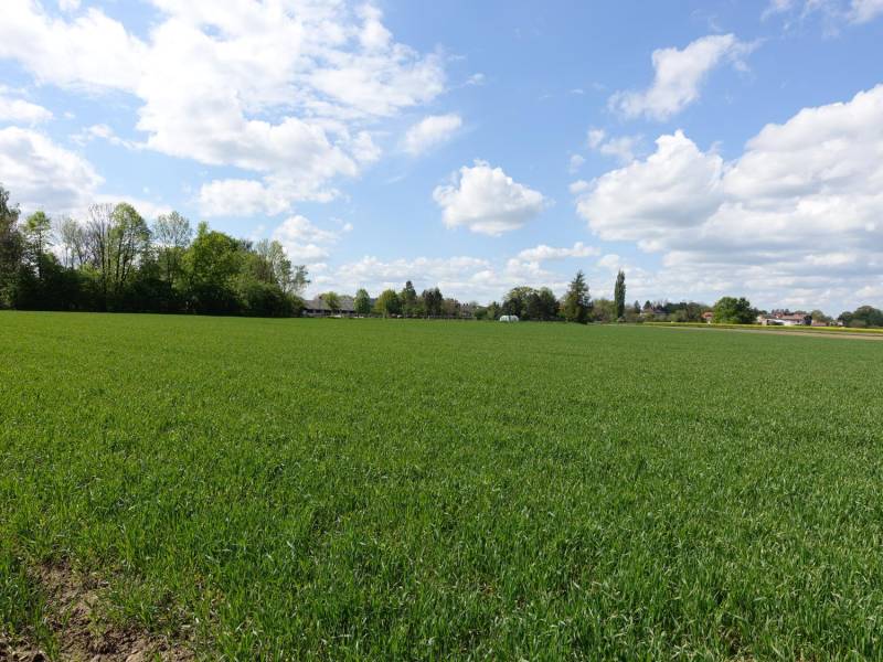 ox_skoczow-pruchna-115-ha-w-samym-centrum-z-prawem-zabudowy-lux-lokaliza