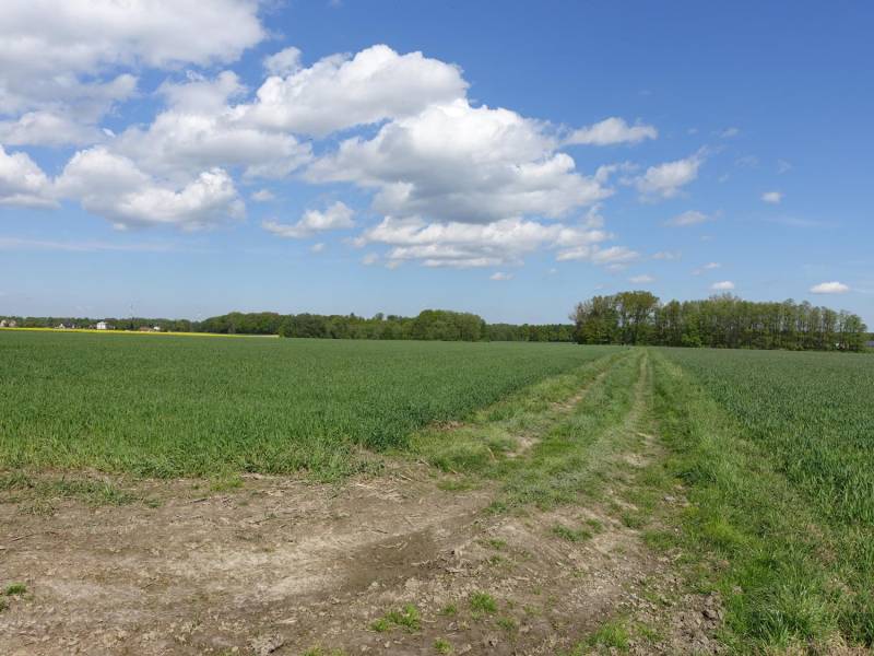 ox_skoczow-pruchna-115-ha-w-samym-centrum-z-prawem-zabudowy-lux-lokaliza