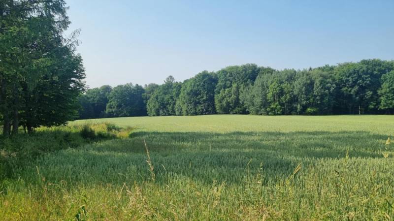 ox_duza-dzialka-rolna-na-sprzedaz-w-ochabach-malych