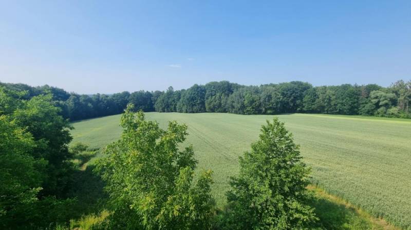 ox_duza-dzialka-rolna-na-sprzedaz-w-ochabach-malych