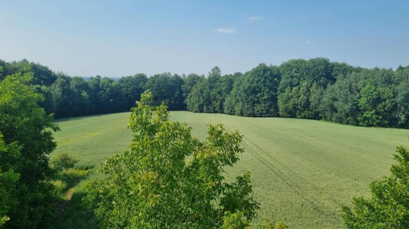 ox_duza-dzialka-rolna-na-sprzedaz-w-ochabach-malych