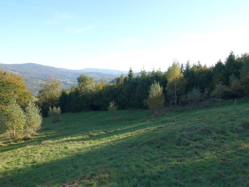 ox_brenna-253-ha-blisko-wyciagu-orczykowego-pod-zabudowe-i-domki-letnisk