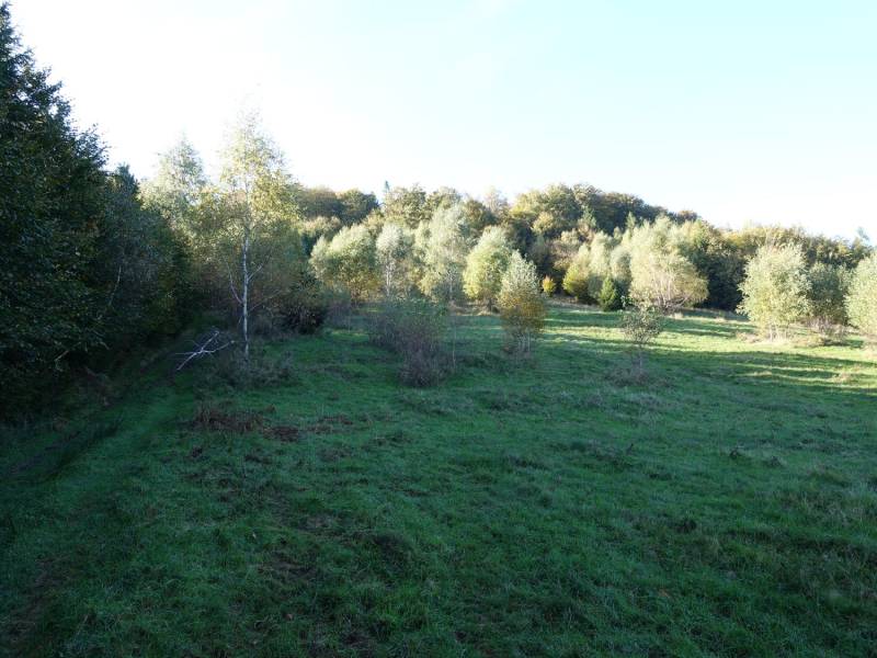 ox_brenna-253-ha-blisko-wyciagu-orczykowego-pod-zabudowe-i-domki-letnisk