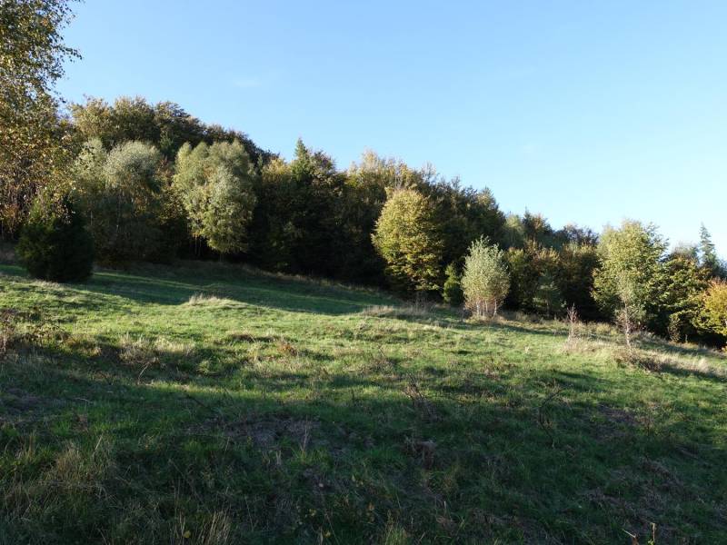 ox_brenna-253-ha-blisko-wyciagu-orczykowego-pod-zabudowe-i-domki-letnisk