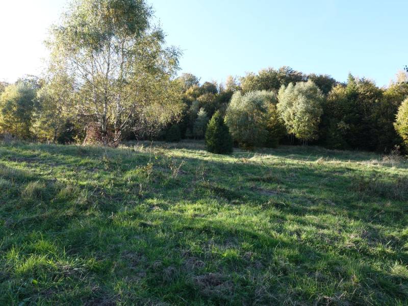 ox_brenna-253-ha-blisko-wyciagu-orczykowego-pod-zabudowe-i-domki-letnisk