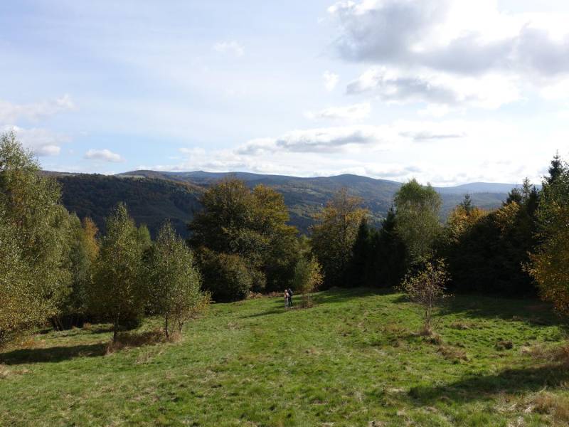 ox_brenna-253-ha-blisko-wyciagu-orczykowego-pod-zabudowe-i-domki-letnisk