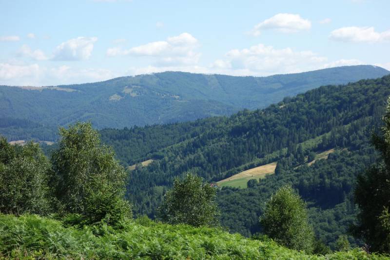 ox_brenna-253-ha-blisko-wyciagu-orczykowego-pod-zabudowe-i-domki-letnisk