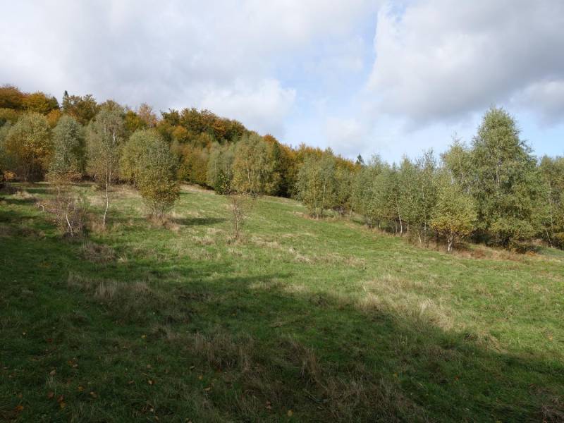 ox_brenna-253-ha-blisko-wyciagu-orczykowego-pod-zabudowe-i-domki-letnisk
