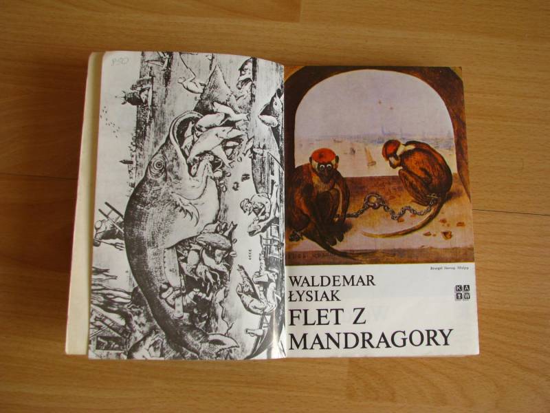 ox_flet-z-mandragory-waldemar-lysiak