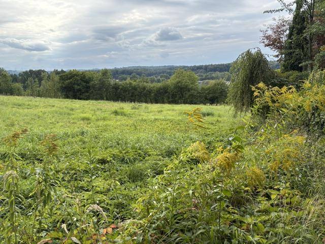 ox_cieszyn-sprzedam-dzialke-budowlana-1730-m-kw-ullesna-bukowa