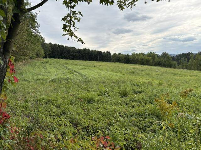 ox_cieszyn-sprzedam-dzialke-budowlana-1730-m-kw-ullesna-bukowa